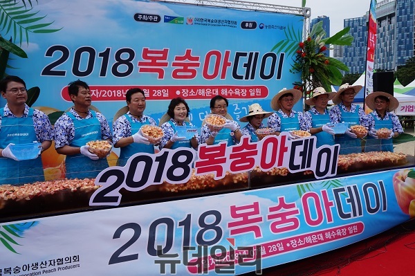 ▲ 김병국 전국복숭아생산자협의회 회원들과 행사에 참석한 주요 내빈들이 28일 부산 해운대해수욕장에서 2018명분의 복숭아 아이스화채를 만들고 있다.ⓒ김정원기자