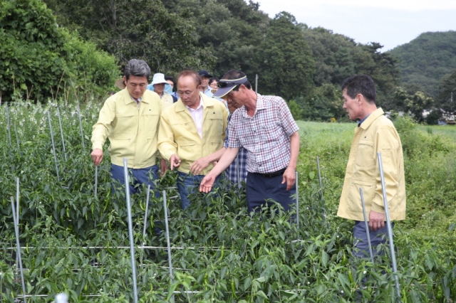 ▲ 이강덕 포항시장이 폭염에 시름하는 강사리 농장을 방문해 피해 상황을 점검하고 있다.ⓒ포항시