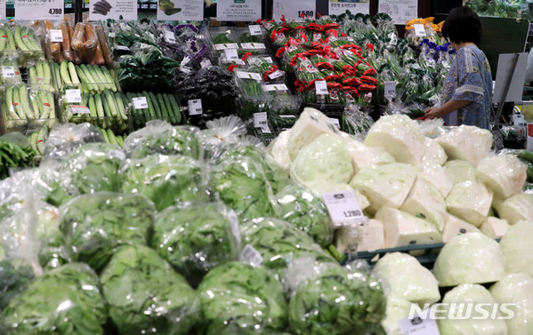 ▲ 서울의 한 대형마트에서 시민 한 사람이 농산물을 구매하고 있다ⓒ뉴시스. 무단 전재 및 재배포 금지.