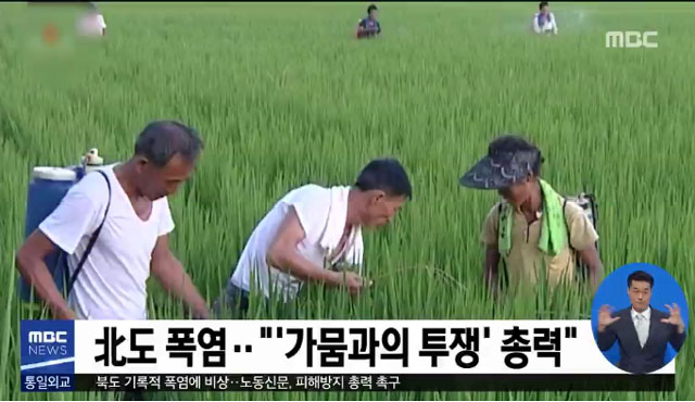 ▲ 북한도 대부분의 지역 기온이 35도를 넘는 기록적 폭염 현상을 겪고 있다. 개마고원조차 30도에 육박하고 있다. 사진은 MBC의 北노동신문 인용보도. ⓒMBC 관련보도 화면캡쳐.