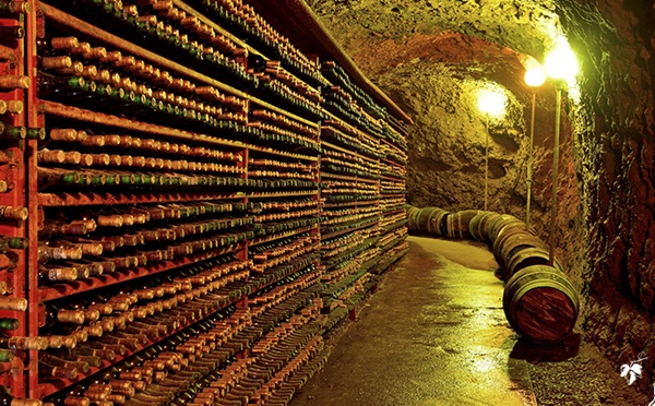 지하 저장고에서 숙성되고 있는 영동 와인.ⓒ영동군