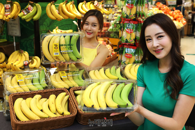 ▲ 이마트 용산점에서 모델들이 초록색부터 노란색까지 6개의 바나나가 들어있는 '하루하나 바나나'를 선보이고 있다. ⓒ이마트