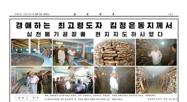 ▲ 북한 노동신문이 6일 김정은의 메기공장(양식장) 현지시찰 소식을 비중있게 보도했다.