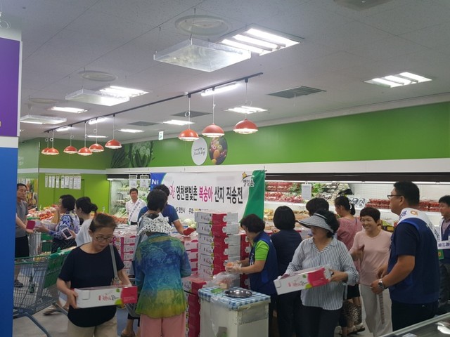 ▲ 올해 17회를 맞는 영천과일축제가 새롭게 변모해 돌아온다.ⓒ영천시