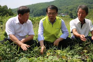 ▲ NH농협생명 서기봉 사장(가운데)이 지난 8일 경기 여주시 강천면 도전4리 마을을 방문해 폭염 피해 상황 파악 및 다양한 지원 방안에 대해 논의했다.ⓒNH농협생명