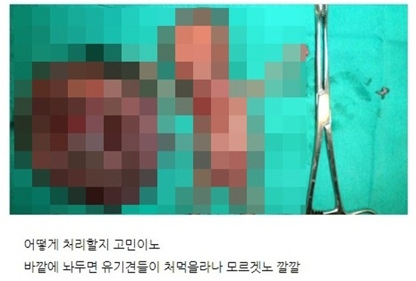 ▲ 워마드 게시판에 올라온 성체(聖體·Body of Christ)' 훼손 사진. ⓒ 뉴데일리