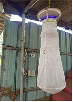 ▲ 대구시 동구 금강로에 설치된 유문등.ⓒ대구시