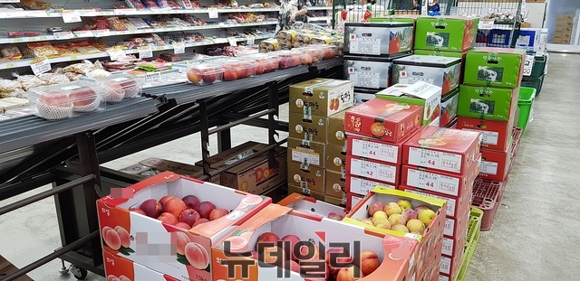 ▲ 폭염 장기화로 인한 농산물 가격이 심상치 않다.(사진은 대구시내 한 마트에 진열된 과일들)ⓒ뉴데일리