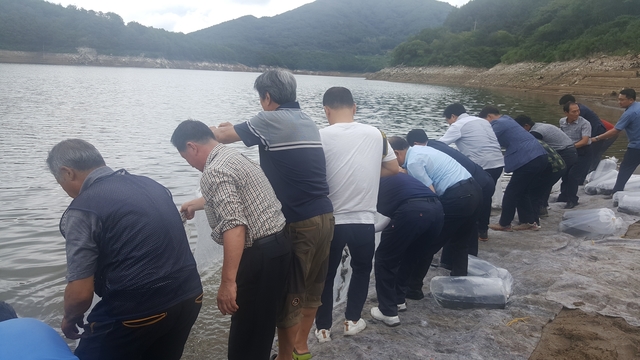 ▲ 문경시는 지난 10일 동로면 경천호를 비롯한 관내 주요 하천 및 저수지에 쏘가리, 메기, 붕어 등을 방류했다.ⓒ문경시