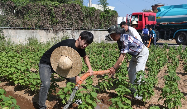 ▲ 구본영 천안시장이 12일 폭염과 가뭄으로 어려움을 겪고 있는 지역 농가를 방문해 직접 재배작물 물주기 작업에 동참했다.ⓒ천안시