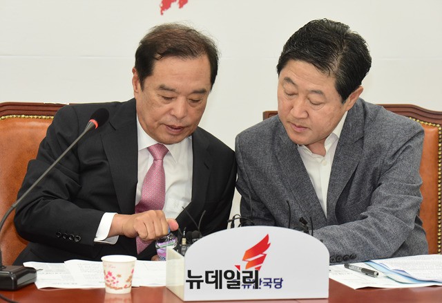 ▲ 김병준 자유한국당 혁신비상대책위원장이 13일 오전 국회에서 열린 북한산 석탄 수입 의혹 규명 특별위원회 1차 회의에서 유기준 북한석탄대책TF 단장과 대화를 나누고 있다. ⓒ뉴데일리 이종현 기자