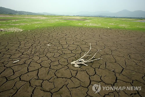 ▲ 가뭄 자료사진 ⓒ 연합뉴스