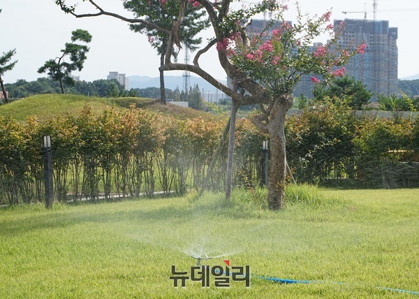 ▲ 입추(8월 7일)가 지나고 오는 23일 처서를 앞두고 더위가 한풀꺾인 가운데 19일 충북 청주시 흥덕구 F카페의 잔디밭에 설치된 스프링쿨러가 아침부터 잔디밭에 물을 뿌리고 있다.ⓒ김정원 기자