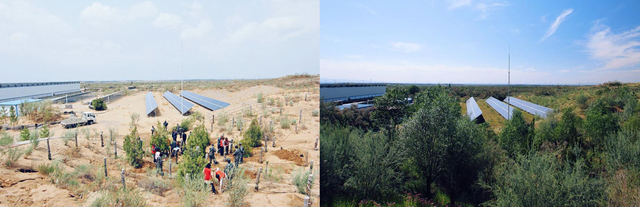 ▲ 중국 닝샤지역 사막에 한화 태양의 숲을 조성하기 전(좌)과 후(우)ⓒ한화