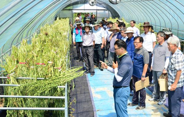 ▲ 22일 음성군에서 비닐하우스내에 설치된 참깨 접이식 건조대에서 농민들이 관계자의 설명을 듣고 있다.ⓒ충북도농업기술원
