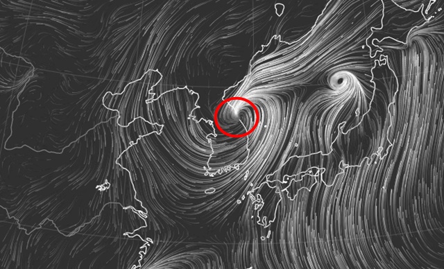▲ 사진=널스쿨 캡처ⓒ