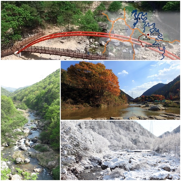 ▲ 옥천 장령산자연휴양림 사계절 절경.ⓒ옥천군