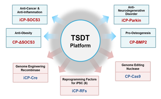 ▲ TSDT 플랫폼 ⓒ셀리버리