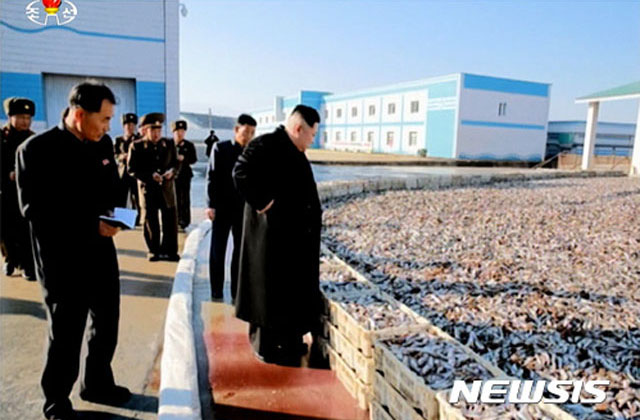 ▲ 2016년 11월 북한군 수산물 공장을 찾은 김정은. 북한 수산물은 수출입 금지품목이다. ⓒ뉴시스. 무단전재 및 재배포 금지.