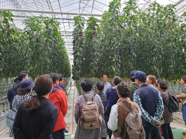 ▲ 달성군은 1일 강소농 회원 30여명을 대상으로 김제시 소재의 딸기와 토마토 스마트팜 성공현장을 견학하는 현장교육을 가졌다.ⓒ달성군