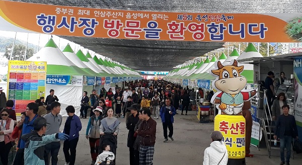 ▲ 지난해 음성인삼축제장 모습.ⓒ음성군