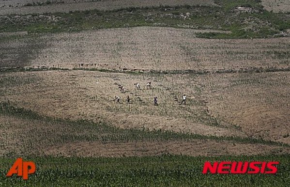 ▲ 북한 황해남도 농부들의 작업 모습ⓒ뉴시스. 무단 전재 및 재배포 금지.