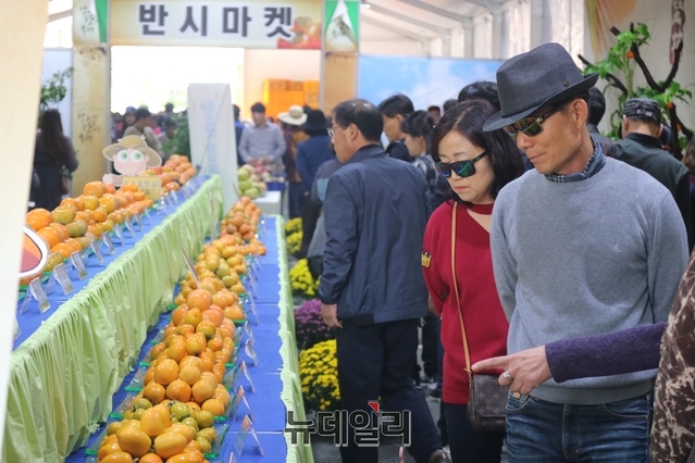 ▲ 14일 청도반시축제장을 찾은 관람객이 청도반시 주제관에서 전시장을 둘러보고 있다.ⓒ뉴데일리