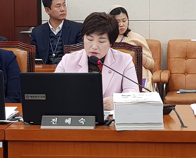 ▲ 전혜숙 더불어민주당 의원 ⓒ뉴데일리