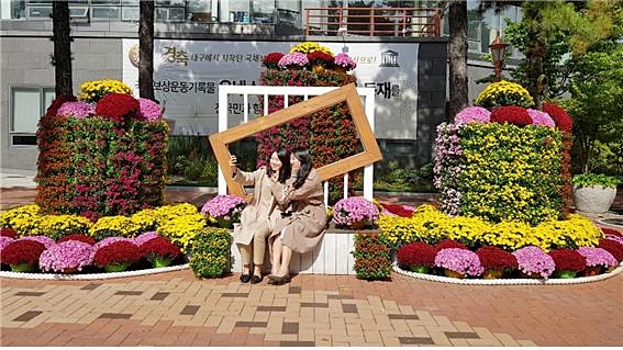 ▲ 국채보상운동기념공원에서 오는 31일까지 ‘국화꽃 한마당’이 펼쳐진다.ⓒ대구시