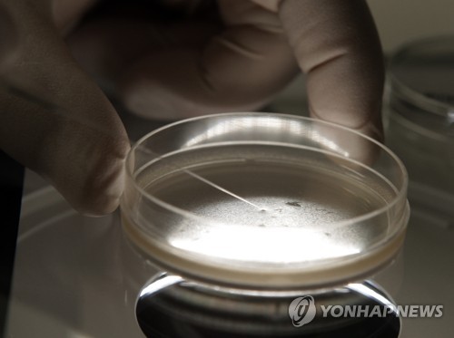 ▲ 세포 관련 이미지 ⓒ연합뉴스