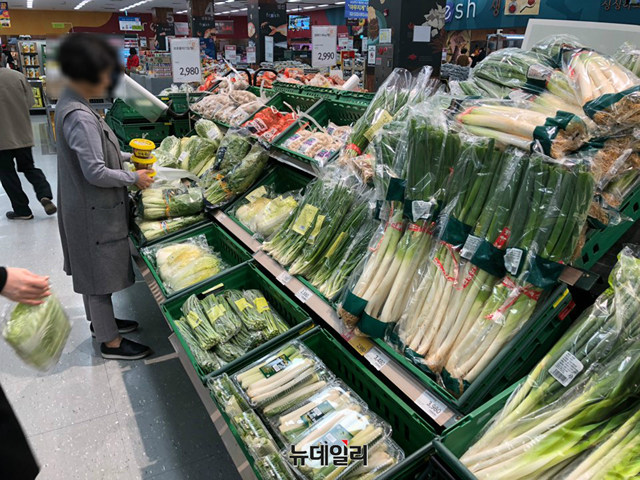 ▲ 고객이 김장 재료를 살펴보고 있는 모습. ⓒ진범용 기자