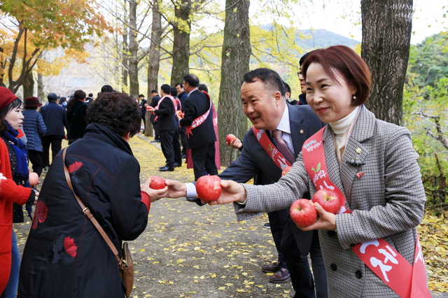 ▲ 영주사과축제기간에는 방문하는 모든 사람들을 대상으로 영주사과 나눠주기 행사를 실시해 부석사를 거닐며 영주사과를 맛보는 기회를 제공해 관광객들의 발길을 붙잡는다.ⓒ영주시