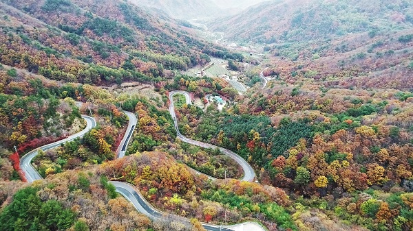 ▲ 단풍으로 절정을 이루고 있는 도마령.ⓒ영동군
