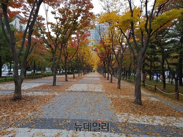 ▲ 단풍이 붉게 물든 대전 보라매공원.ⓒ김정원 기자