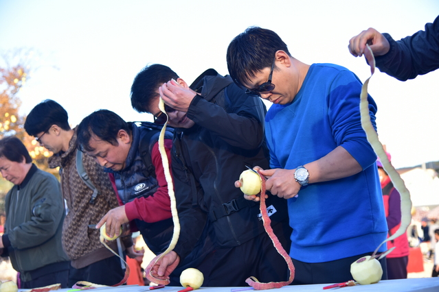 ▲ 이번 축제는 과거 없었던 신규 프로그램들이 즐비해 축제의 재미를 한껏 높였다. 사과껍질 길게깍기.ⓒ청송군