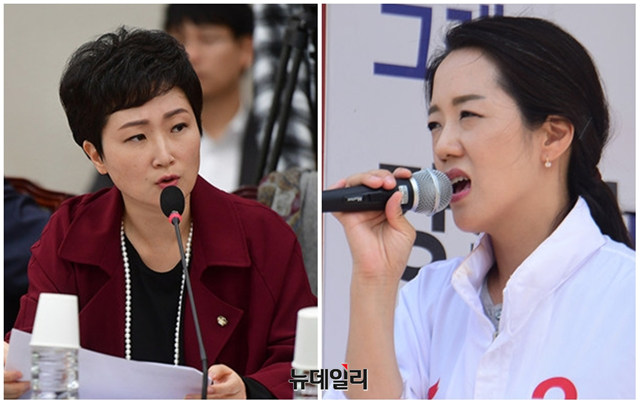 ▲ 바른미래당 이언주 의원과 강연재 자유한국당 법무특보. ⓒ뉴데일리 DB