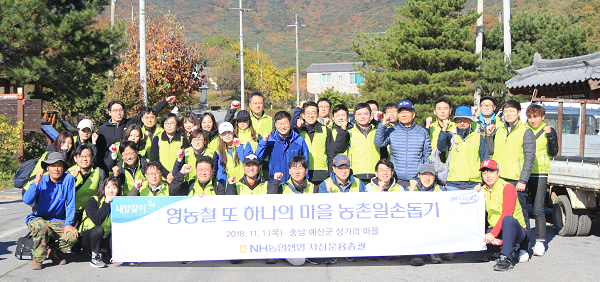 ▲ NH농협생명 자산운용총괄본부 임직원 40여명이 지난 1일 충청남도 예산군 상가리를 찾아 가을철 일손돕기에 나섰다.ⓒNH농협생명