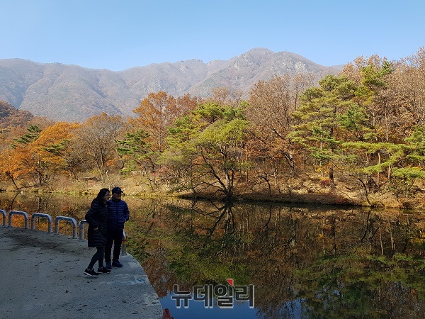 ▲ 충북 영동군 황간면 백화산로 반야사 입구 석천계곡에는 백화산의 만추(晩秋)가 계곡의 물에 선명하게 드리우면서 아름다운 한 폭의 동양화처럼 물 그림자와 대칭을 이루고 있다. 한 중년 부부가 아름다운 물 그림자에 흠뻑 빠져 있다.ⓒ김정원 기자