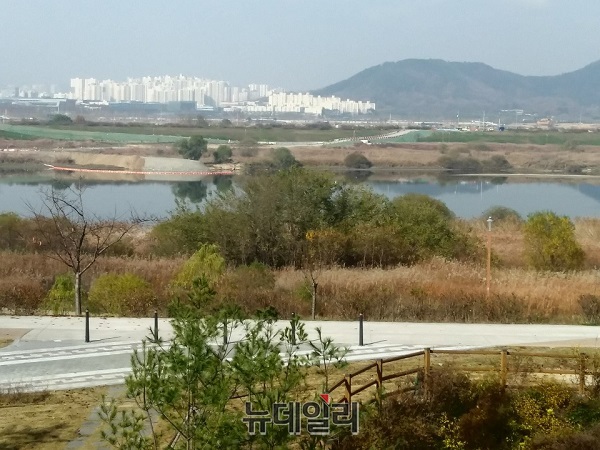 ▲ 멀리 대형 아파트 단지가 보이는 가운데 세종시 청사 동편 진입로 인근 금강변에 조성된 산책로가 한가롭기만 하다.ⓒ김동식 기자