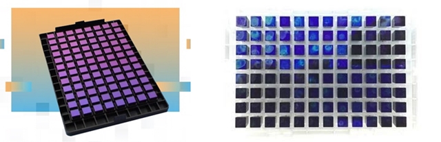 ▲ 한국인 맞춤형 유전체 분석 칩 ⓒ테라젠이텍스