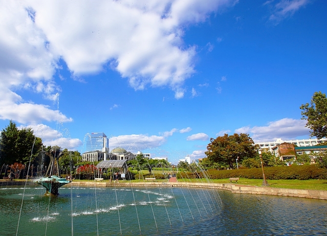 ▲ 경북대가 ‘베스트 글로벌 대학’평가에서 국내 10위, 국립대로는 1위를 차지했다.ⓒ경북대