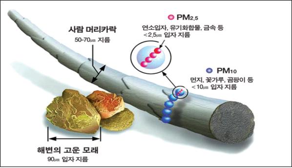 ▲ 미세먼지 설명도.ⓒ미국 환경보호청(EPA)