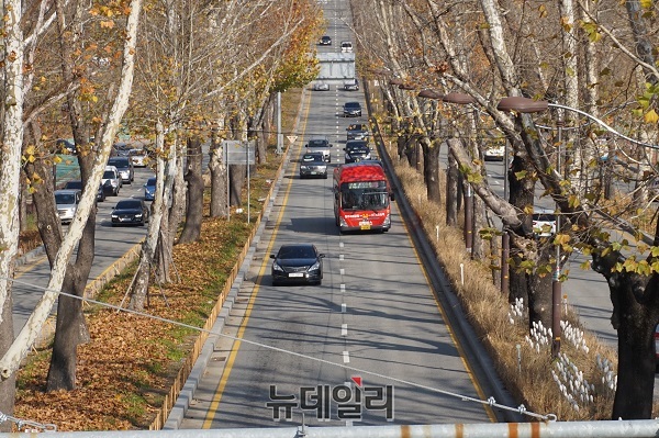 ▲ 늦가을 정취를 물씬 느끼게 하는 충북 청주시 흥덕구 청주진입로의 플라터너스 가로수 길.ⓒ김정원 기자