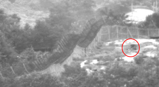 ▲ 2015년 8월 경기 파주 육군 1사단에서 일어난 목함지뢰 도발 당시 TOD로 촬영한 영상 캡쳐. TOD는 전방 지역의 중요한 감시자산이다. ⓒ뉴시스. 무단전재 및 재배포 금지.