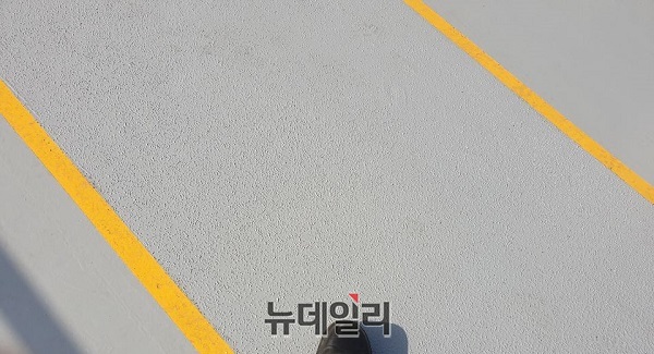 ▲ 대우조선의 쇄빙 LNG선 ‘보리스 다비도프’ 선상에 마련된 미끄럼 방지 ‘세이프티 로드’. ⓒ뉴데일리