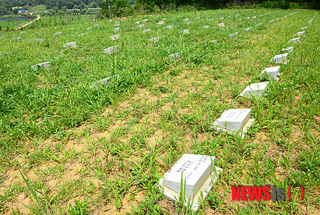 ▲ 경기 파주시에 있는 적군묘지. 당초 안장된 유해는 1000여 구가 훨씬 넘었으나 2013년 박근혜 대통령이 중공군 유해를 중국으로 넘기면서 수가 줄었다. ⓒ뉴시스. 무단전재 및 재배포 금지.