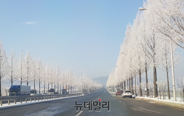 ▲ 12일 아침 충북 청주시 상당구 순환도로 변의 가로수에 ‘눈 꽃’이 활짝 핀 모습이 장관이다. 눈 꽃이 마치 가로수의 하얀 잎처럼 보인다.ⓒ김정원 기자