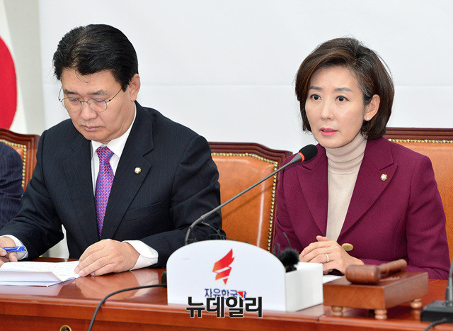 ▲ 자유한국당 나경원 원내대표(오른쪽)과 정용기 정책위의장. ⓒ뉴데일리 공준표 기자