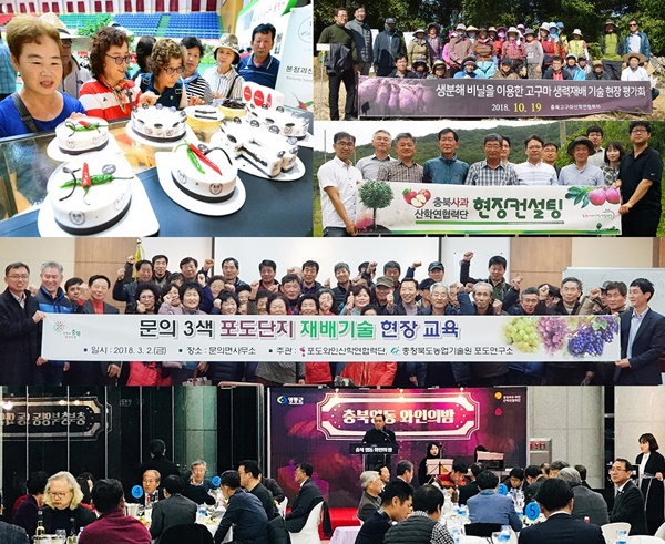 ▲ 3일 충북도농업기술원은 산학협력단 사업 부문에서 충북이 최우수기관상 등을 수삭했다고 밝혔다.ⓒ충북도농업기술원