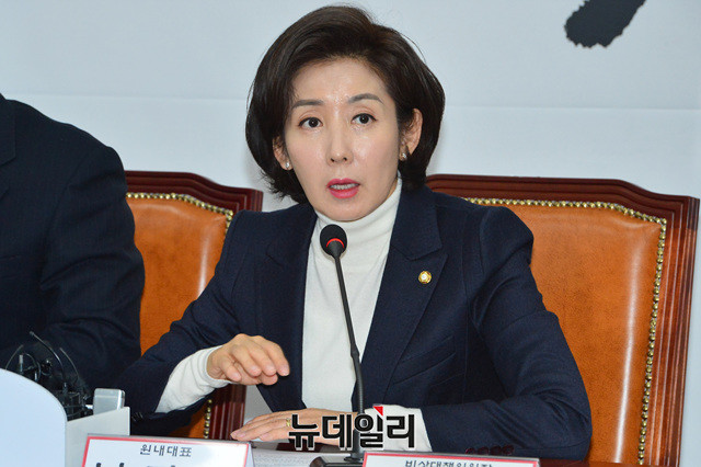 ▲ 나경원 자유한국당 원내대표가 지난해 12월 오전 국회에서 열린 비상대책위원회 중진의원 연석회의에서 모두발언을 하고 있다. ⓒ뉴데일리 박성원 기자